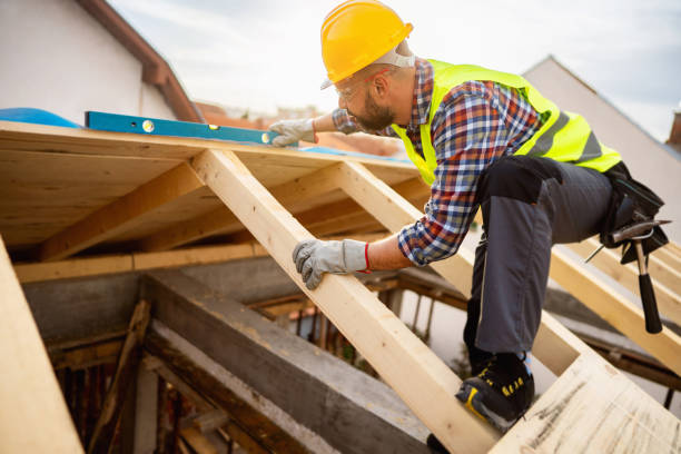 Best Gutter Installation and Roofing  in Wesley Chapel, FL