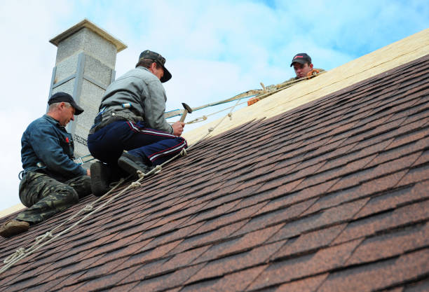 Best Roof Gutter Cleaning  in Wesley Chapel, FL